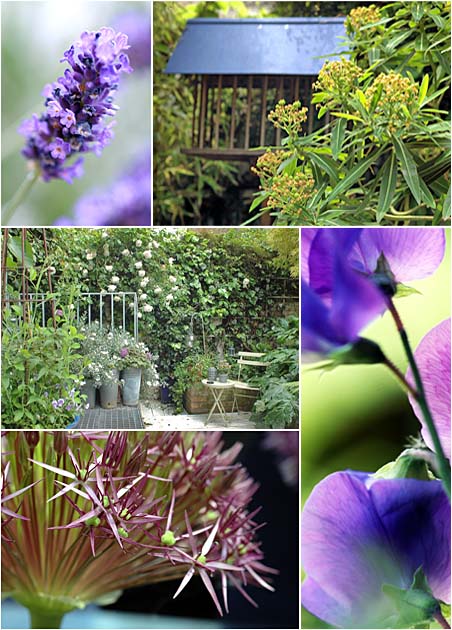 elspeth thompson - urban gardening
